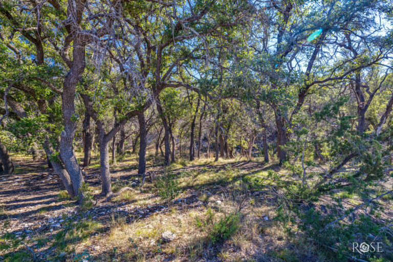 26_3b011365-f776-4191-938a-05c71669203f