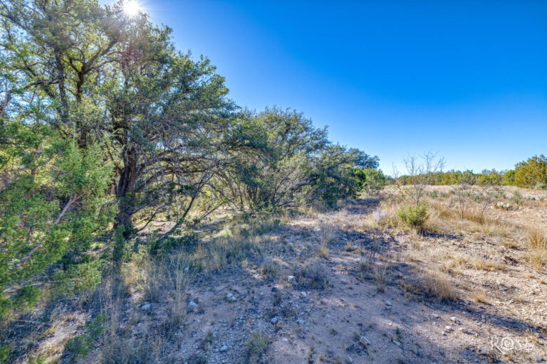 27_018d0e11-85fd-481b-9e96-9dfbb844f792