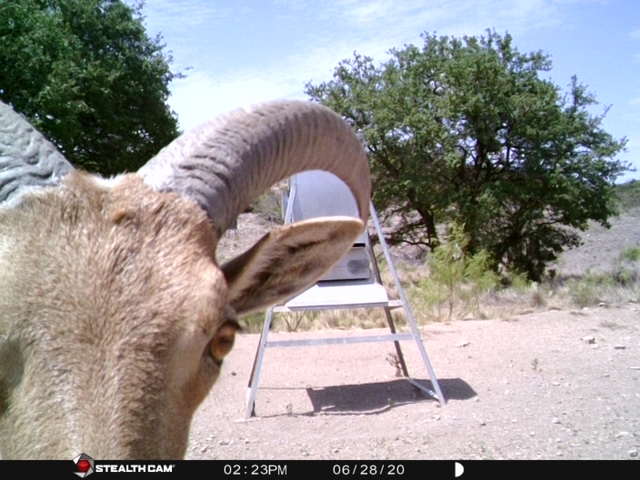 43_f7822814-124d-49b8-b32d-e32c88fed5d9