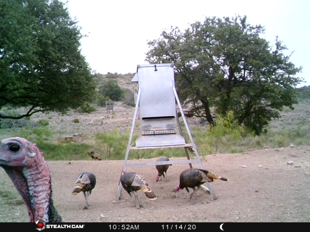 44_f5bbc5d4-a425-4b5d-b849-2ce6869253b8