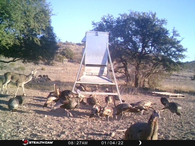 45_cef13bc0-b903-4aef-8df2-33b92b60fe0e