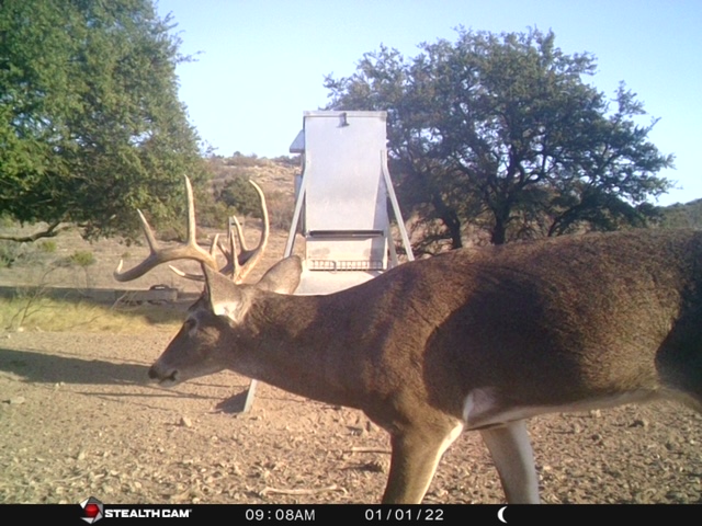 46_f4b1f218-5bec-4fc9-95dd-c391e0a036c6