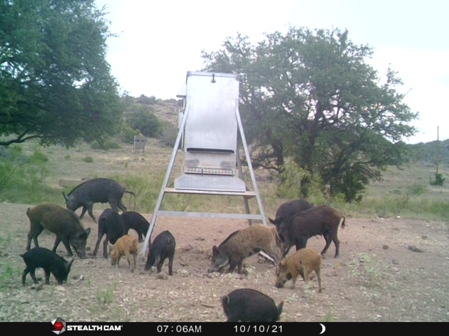 47_a84852f8-c119-491d-97df-8d673c4f697e