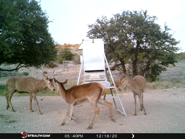 48_bda7debb-0279-4f8f-9114-7786203a3c24