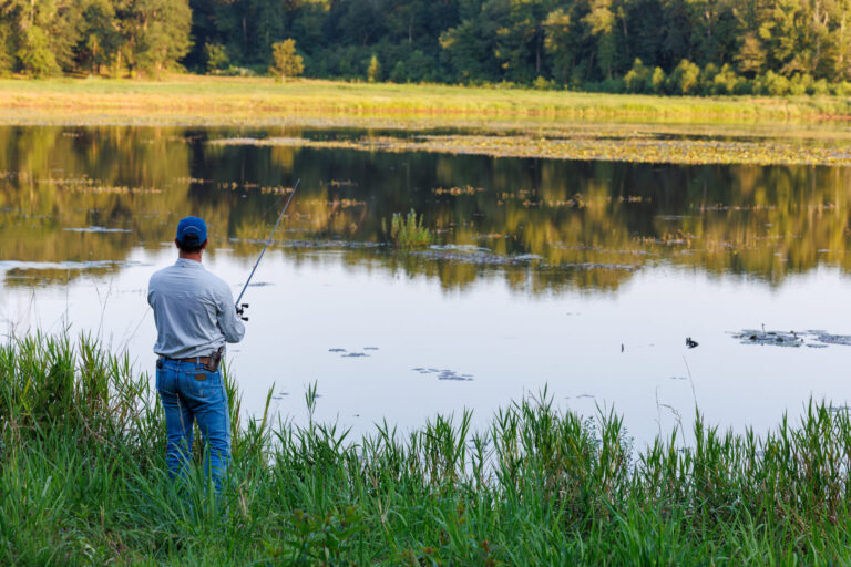 04_a2cb0f48-2897-4cd6-b91d-88dc21bb170b