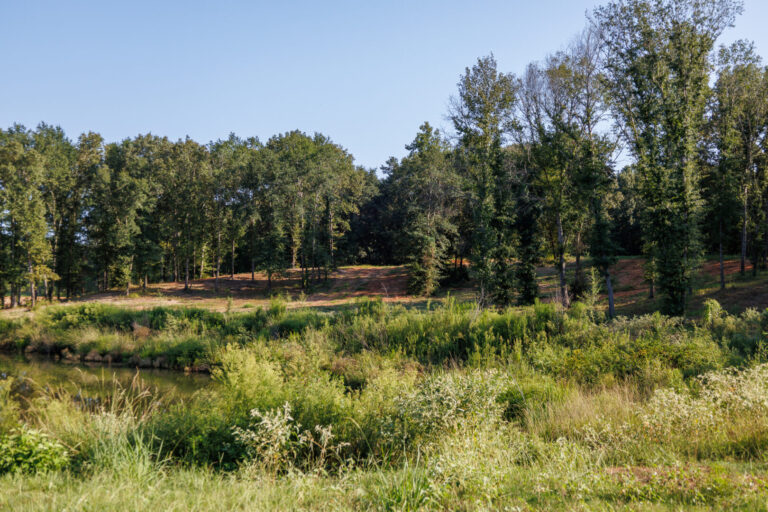 06_30dab851-4772-433f-8ea6-eb6df423e31f