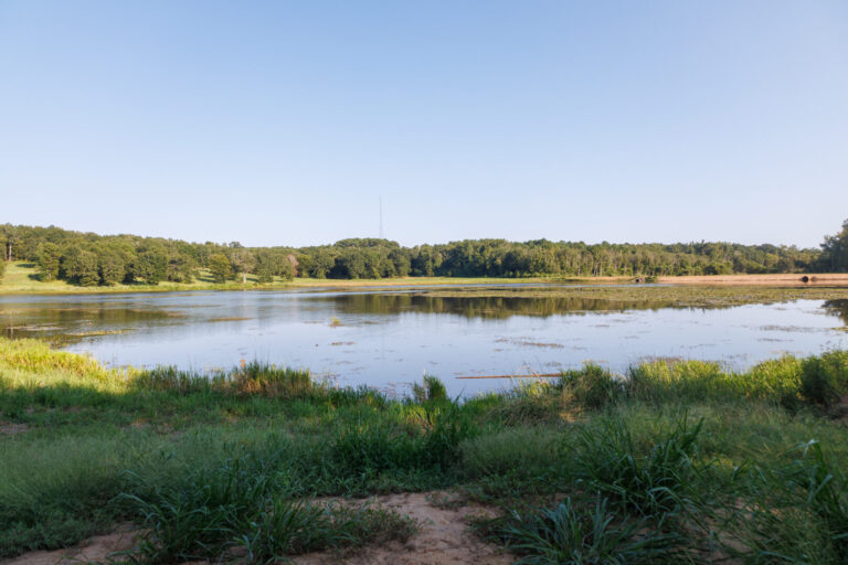 18_d9ab1bb6-506c-45c7-9ccf-ec3f110aa003