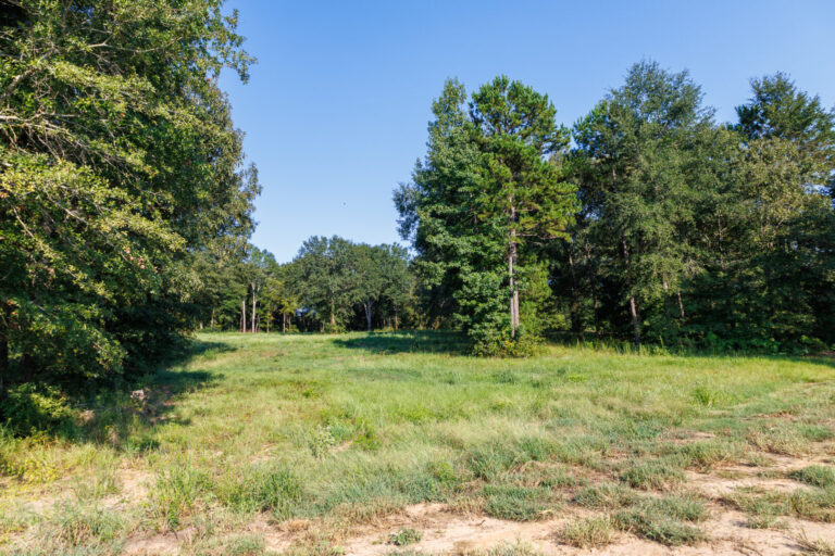 27_3919b5ba-1ba6-4745-badd-3a21d5699cbf