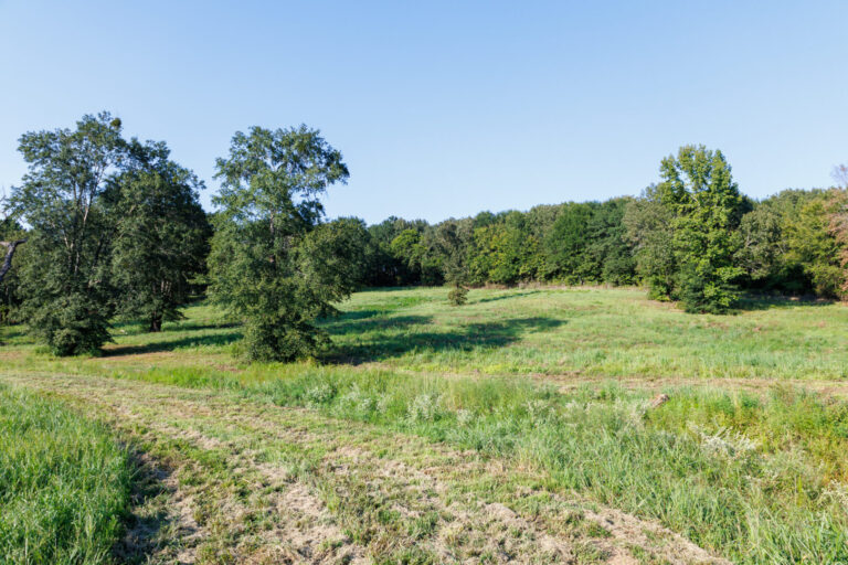 28_72e721f0-d56b-468e-8461-adab4d809fbc