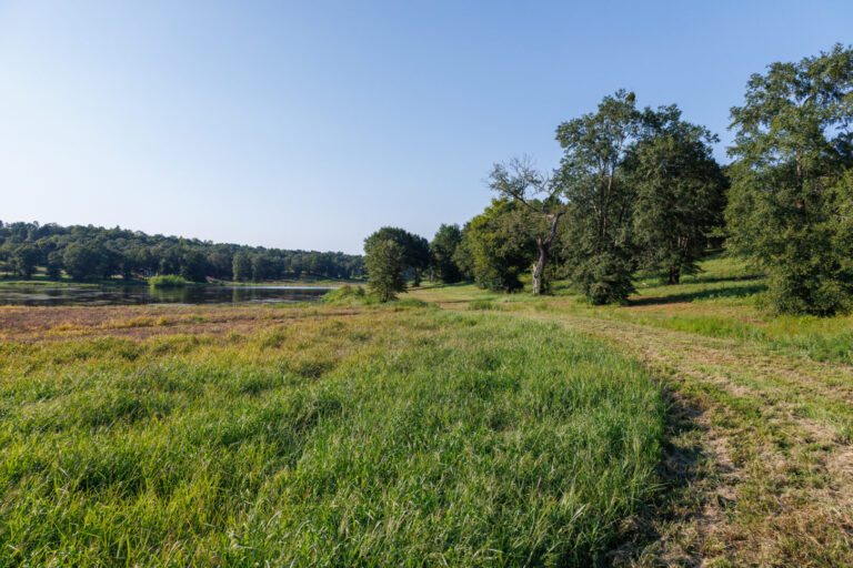 30_0e74750c-a255-442e-83ed-29f3f4468f53