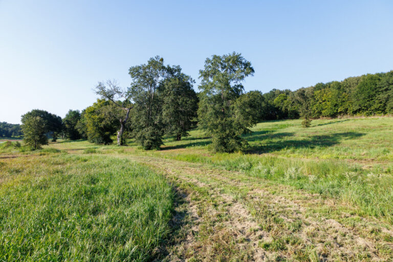 31_a8c3e50f-7095-477c-9251-4530abd29403