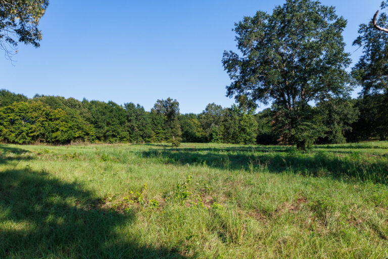 34_f11bfa4a-b394-429d-af6d-1b005bb90a40