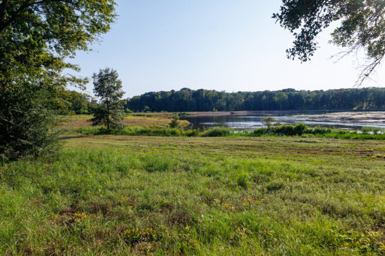 35_b538a5db-e30e-4da3-bce6-e9a9ed80f763