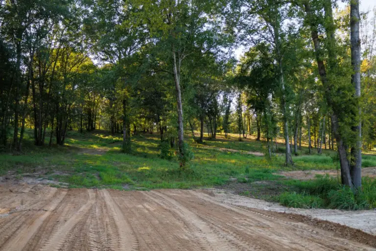 43_66bc9449-3523-4999-b4f5-ff3e61df4f44