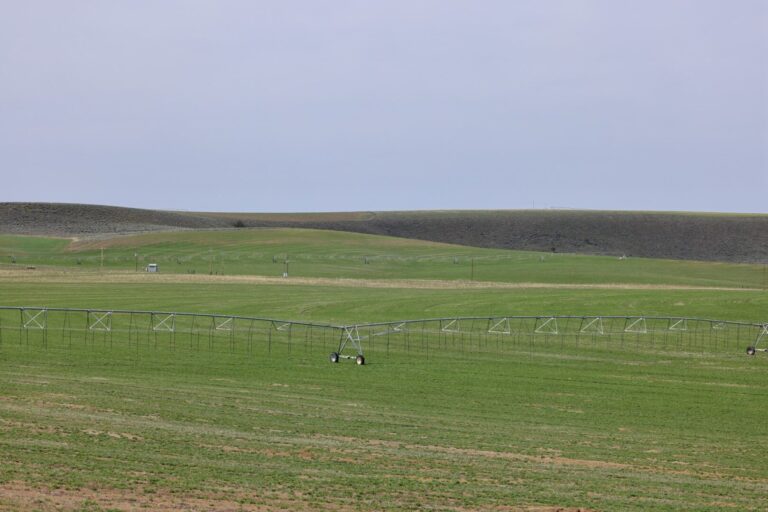 02_e74f08dc-f98c-4a1a-90ae-90fefbb8fd14