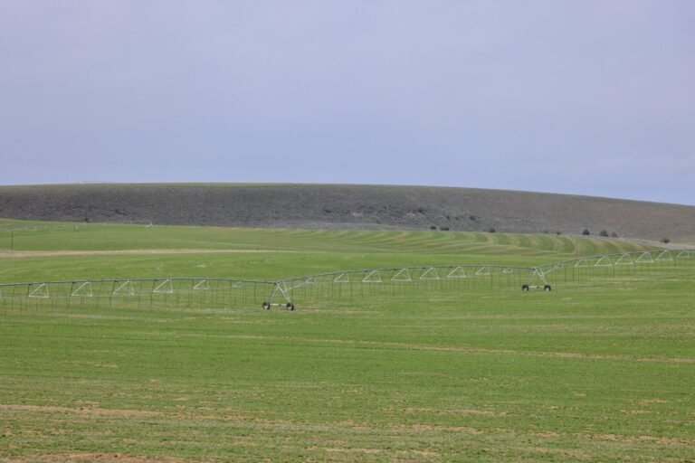 03_63bd2606-af02-4f41-bfcc-312c24857f4e