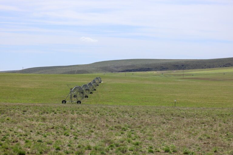 04_89bb09d6-54a6-42bf-9e6c-bfcb6dbeefa3