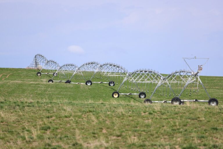 05_8be711fe-c385-4fa8-9332-cc2dec37e503