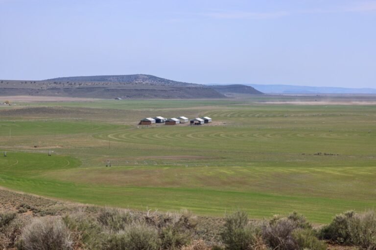 06_5e356f41-01b3-4169-9f1c-84da2949ba41