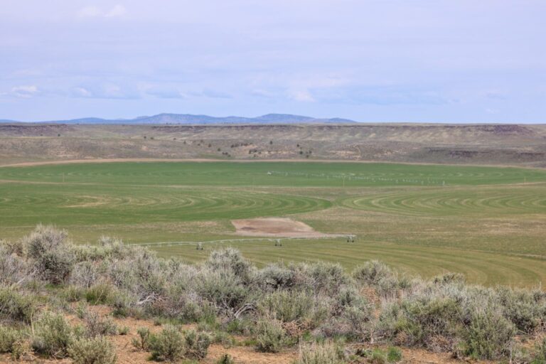 07_b09eda48-9aa3-453c-92ff-2c5cfde5077c