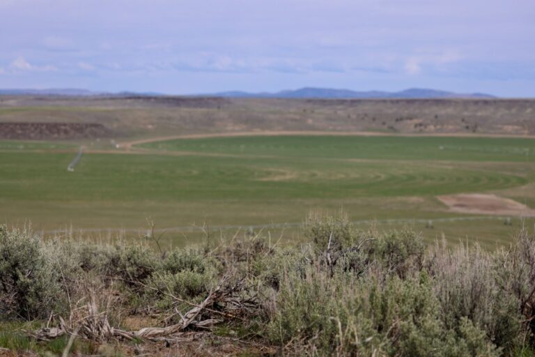 09_59bfa6b2-1ca7-4753-a1ea-bc681d8f53e6