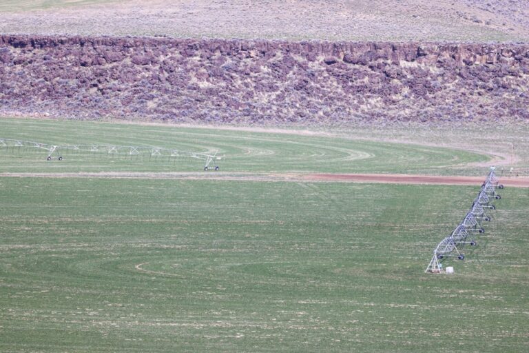 11_921986a1-301c-4a4d-bfde-2d8c51a21352