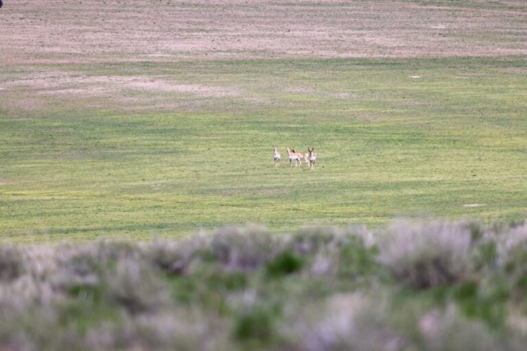 13_8552f55e-31c2-44b6-a28c-47e313de649c