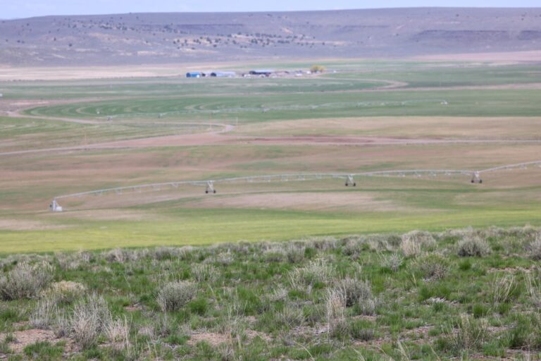 14_61e81a8e-3cb5-4304-b98e-8a1ffbd12ca7