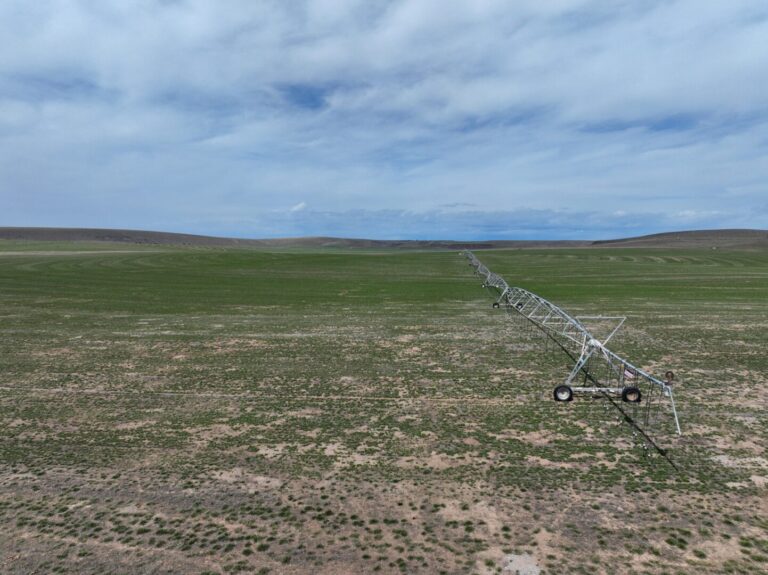 15_3c5c1897-9690-4545-9634-4b0192445ec9