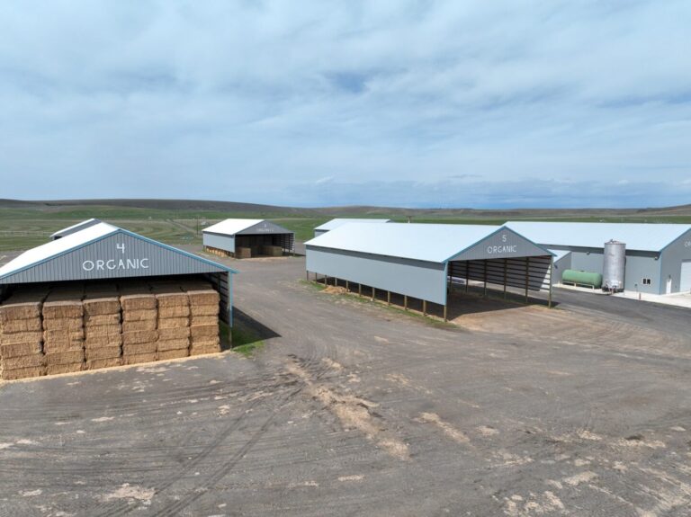 20_bab9e3ca-ffb8-4c88-ba7d-e1a10108b05b