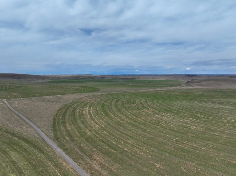 23_9ce5232b-07cf-4bb9-8118-aa2093629edd