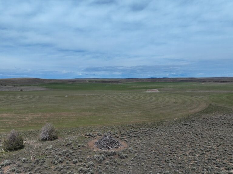 25_4e30495a-685d-48f6-b61c-ba48837efde6