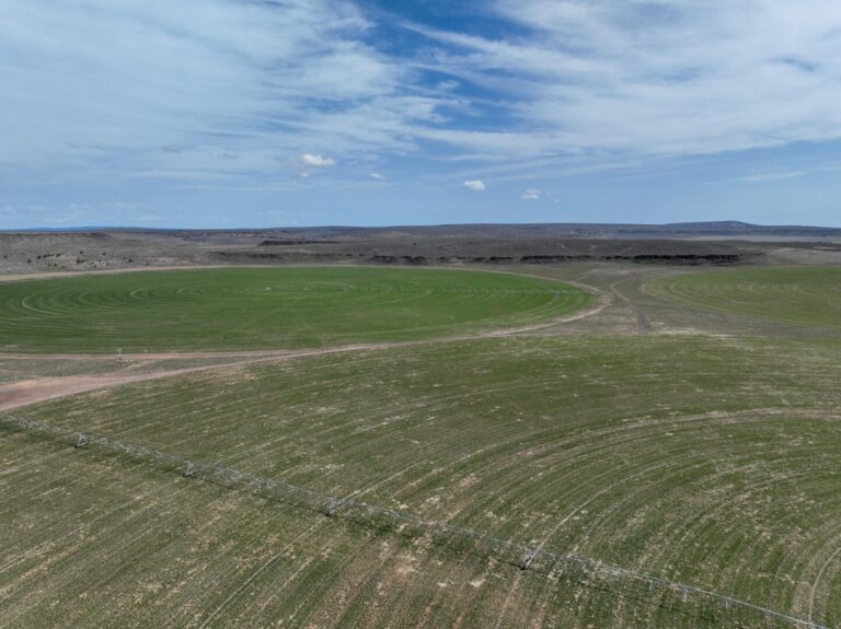 26_e2e2c20a-1e4e-4041-97c2-20f49d277a42