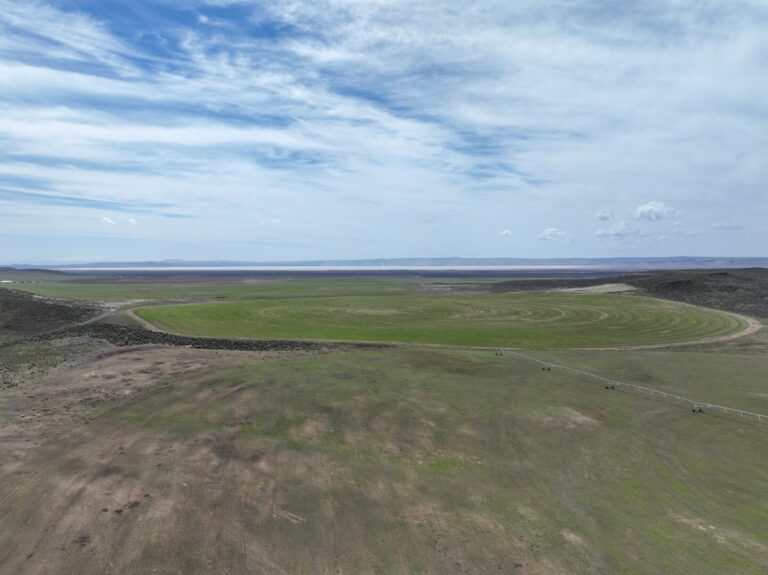 28_3e04dbca-b2f6-42d0-a4b0-fd561dd54f5b