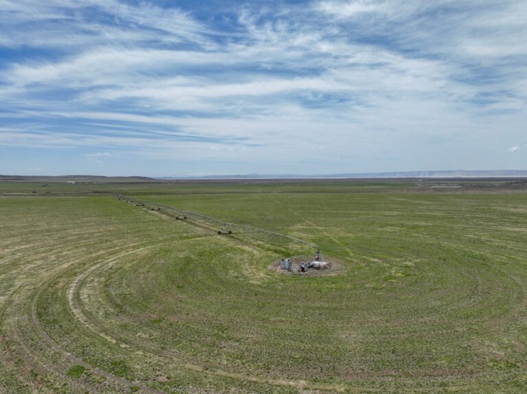 30_9b7c0710-8b6c-4cf0-a751-bff22bd63418