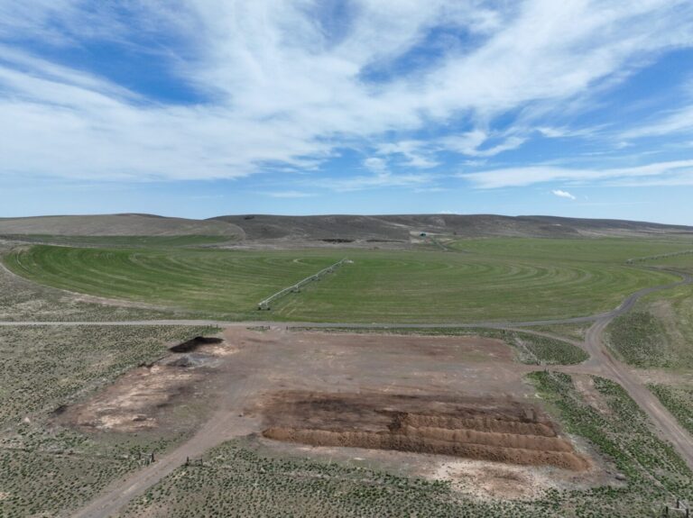 31_6fa73967-ed61-4f3d-95f4-cb6f6f285002