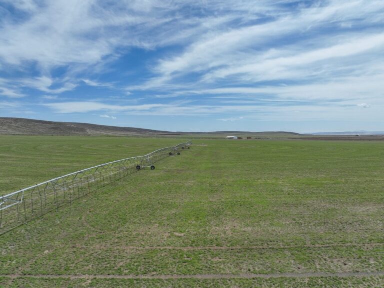 32_b20aa134-1b81-4f86-861b-03fcfa0a1897