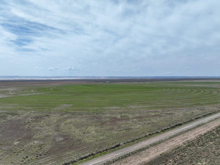 33_bd114ffb-16b2-42d7-a902-b36badb537e2