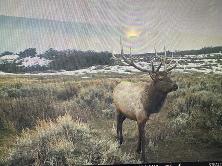 44_abf575a4-7852-4a39-9945-3fcca58c4136