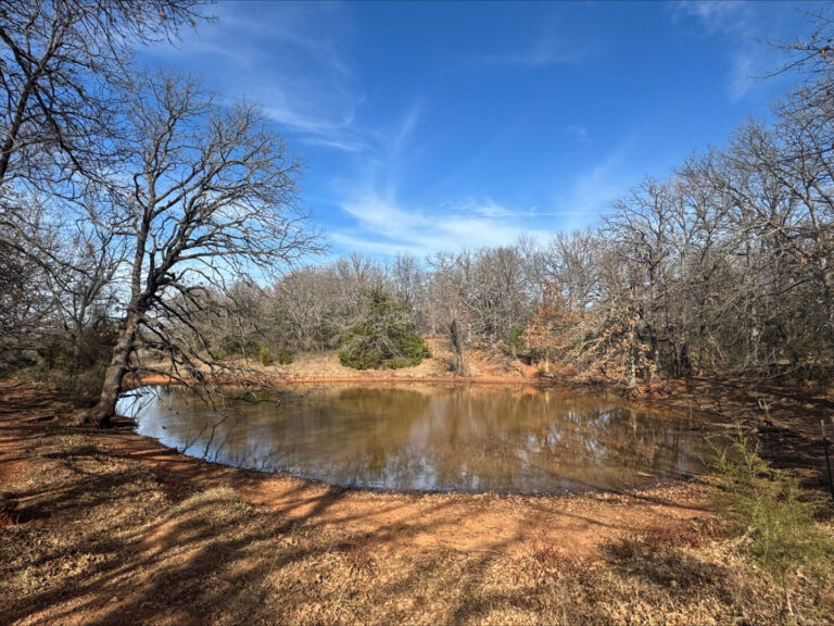 10_96a74411-04fa-47de-9b29-d182ce734b6f