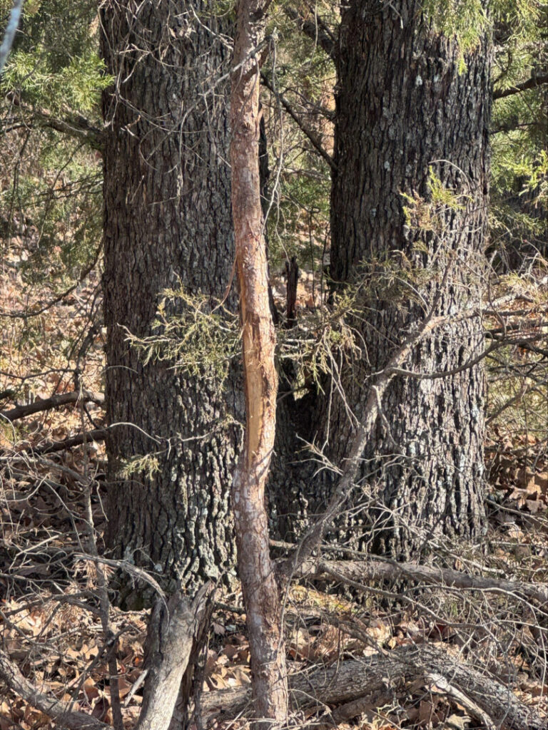 11_e4d858ad-2e99-4824-8682-41bb8c91df10