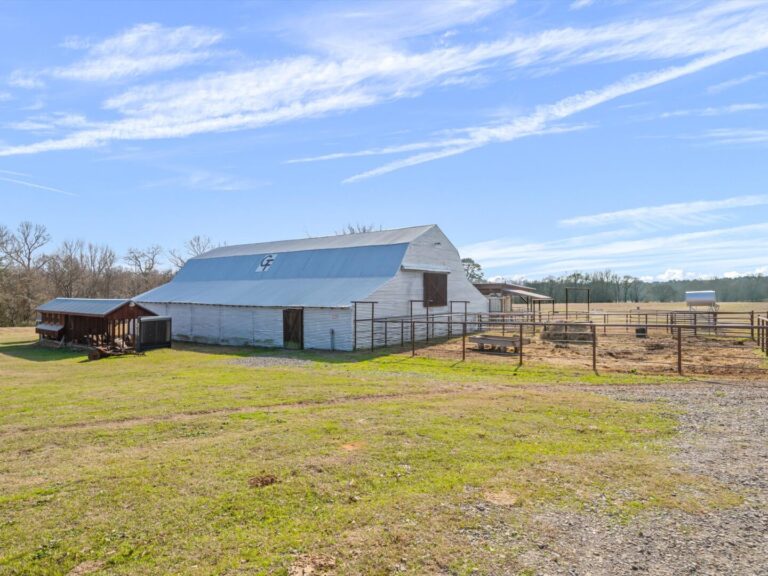 09_8a8747e9-85b9-44e2-912f-f42d485b5efc