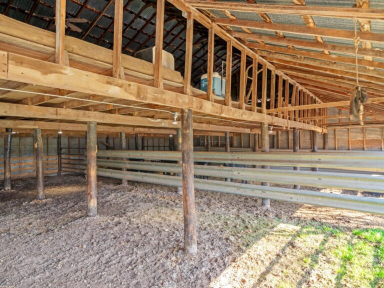 11_997d5075-5dc2-448f-bb53-4bcf462bf239