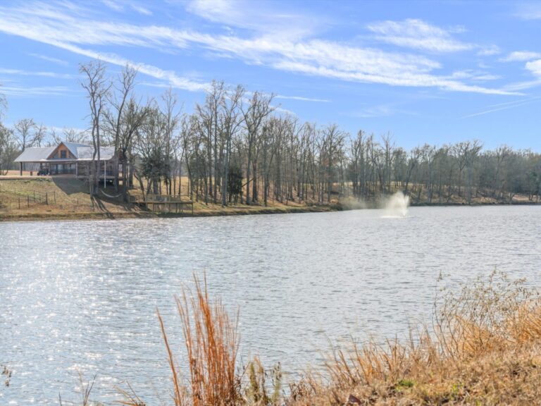 46_d9286f9a-84ca-4730-9732-b73a1ceef0c1