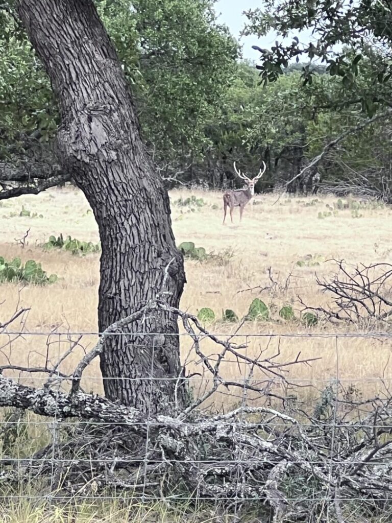 02_e8901805-05f6-4b6d-8ccd-fb628ed72402