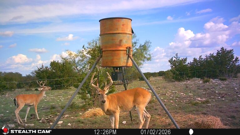 04_7621a091-8d33-4fe8-b2c5-c4bf576c69e8