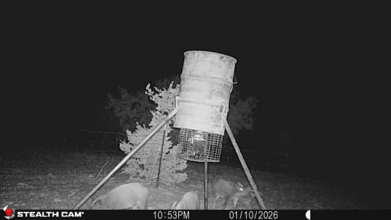 05_e35c4f85-df09-4129-8fb2-9077c32d9cf9