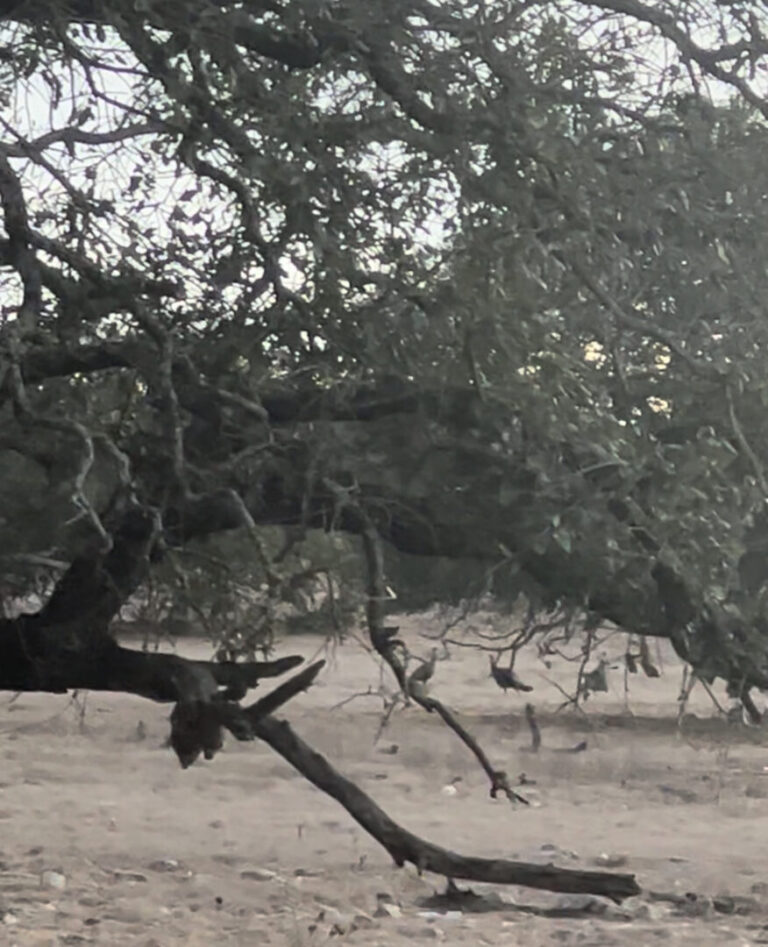 06_c63b7d86-09e8-415a-91df-8ce1c8a23bf1