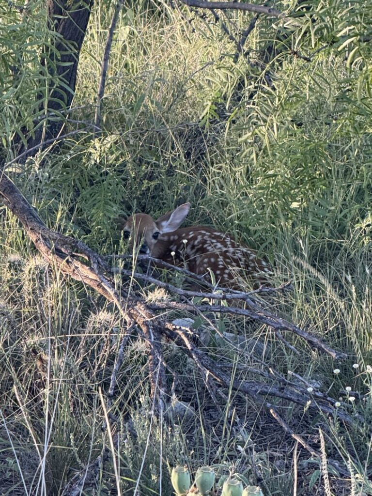 08_2e78fa26-1641-4f31-bdb7-0cd506ff87e6