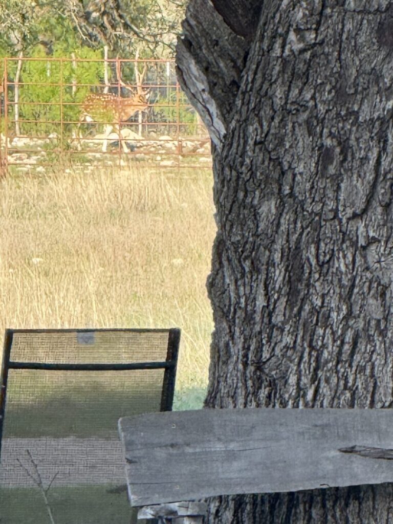 09_cf076876-79a1-45d8-b99a-bd987d486d4a